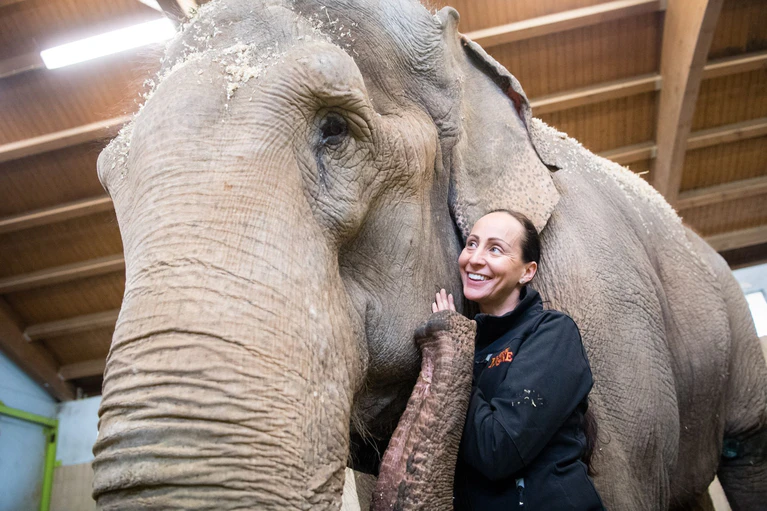 Jana-Mandana Lacey-Krone, Direktorin des Circus Krone, streichelt im Elefantenhaus auf dem Gelände des Circus Krone die indische Elefantenkuh Bara. (Archivbild) — © Matthias Balk/dpa