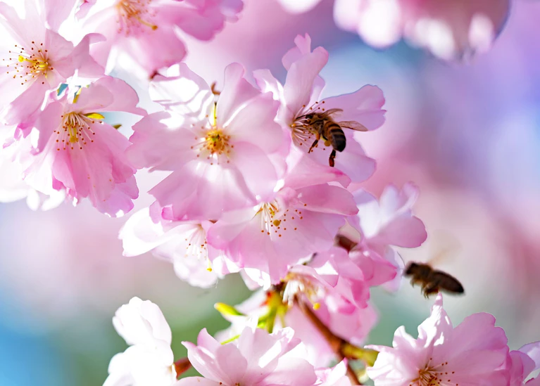 Der DWD erwartet für Samstag viel Sonnenschein für Bayern. (Symbolbild) — © Malin Wunderlich/dpa