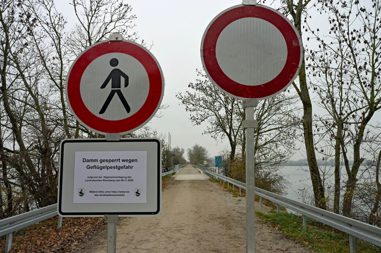 Das Landratsamt riet Spaziergänger zusätzlich zur Sperre dazu auf, das Gebiet zu meiden. — © Malin Wunderlich/dpa