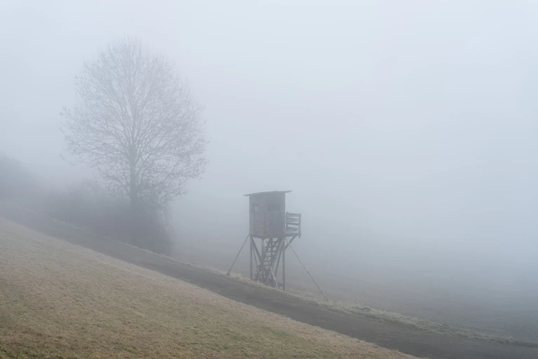 In vielen Teilen Bayerns wird Nebel erwartet.  — © Silas Stein/dpa