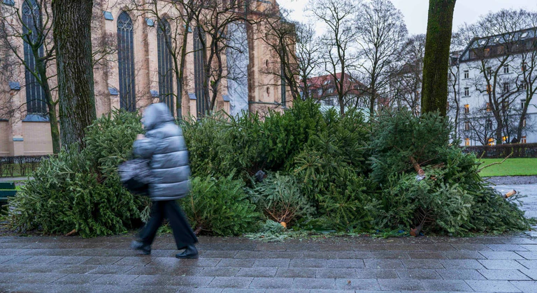 Manche Baum-Fans schmeißen ihre Bäume einfach auf die Straße (Archivbild). — © Peter Kneffel/dpa