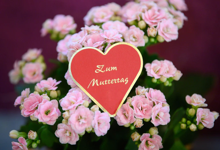 Blumen sind der Klassiker schlechthin zum Muttertag. — © Robert Michael/dpa-Zentralbild/dpa
