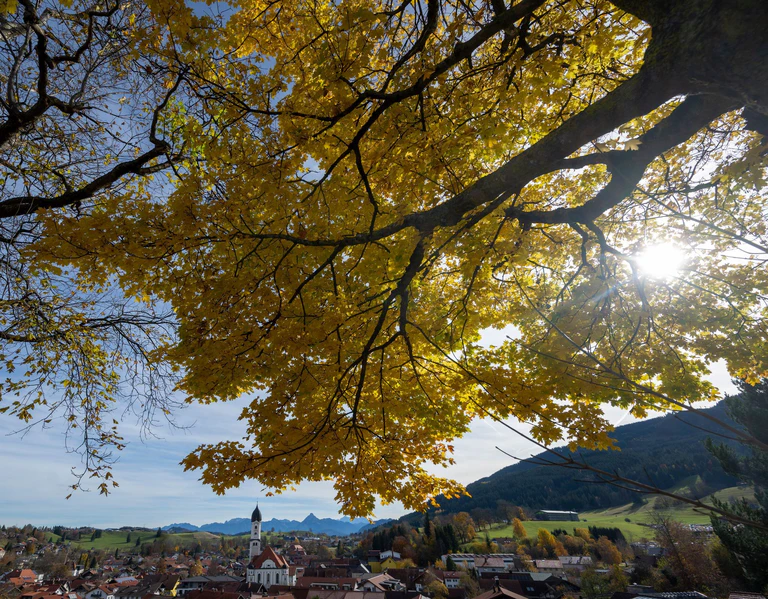 Auf mildes Herbstwetter am Samstag folgte am Sonntag vielerorts reichlich Regen. — © Stefan Puchner/dpa