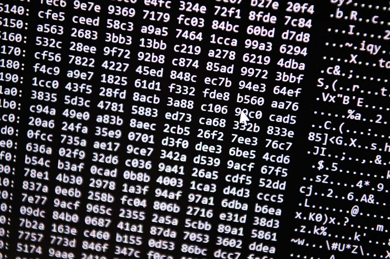 Neue Tools ermöglichten einen Schlag gegen ein Betrugs-Netzwerk im Darknet. (Symbolbild) — © Nicolas Armer/dpa