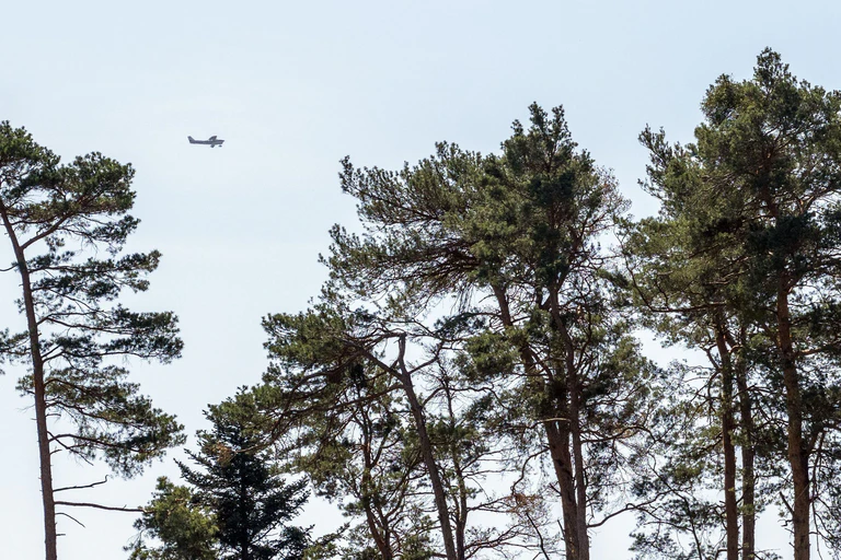 Aufgrund erhöhter Waldbrandgefahr plant die Niederbayerische Regierung in dieser Woche sechs Flüge zur Luftbeobachtung. (Symbolbild) — © Pia Bayer/dpa