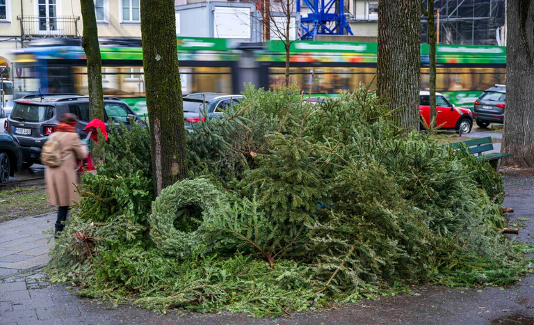 Wer erwischt wird, muss Strafe zahlen: Illegal entsorgte Weihnachtsbäume in München (Archivbild). — © Peter Kneffel/dpa