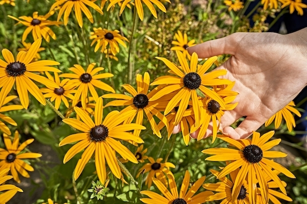 Duftort Oy-Mittelberg